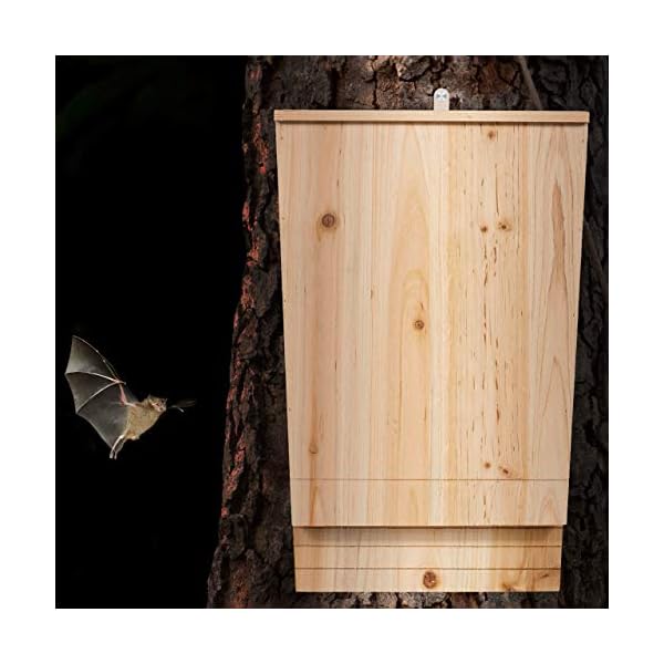 Relaxdays Fledermauskasten XL, großer Unterschlupf für Fledermäuse, aus unbehandeltem Holz, HxBxT: 55x35x7,5 cm, natur – Bild 3