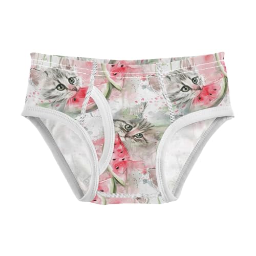 visesunny Boys Cotton Underwear Watercolor Watermelon Cat Printed Toddler Soft Training Briefs Size 2T-8Y for Kids