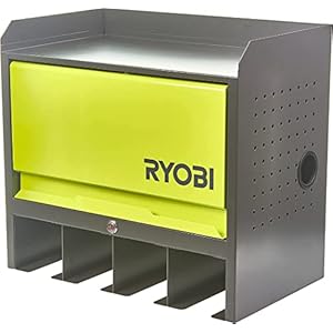 Ryobi RHWS-01 Wall Mounted Cabinet with Door