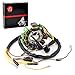 MOTO1988 Magneto Stator coil Compatible with Polaris Sportsman 335 400 500 Magnum 425 Worker 335 Xplorer Ranger 500 1995-2002 OEM 3084974 3086860