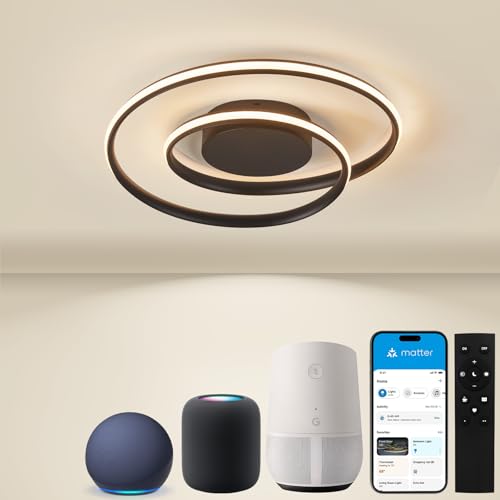 Bayht Ceiling Light Circle