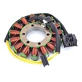 Optimisé pour les performances : renforce le calage des étincelles et les démarrages fiables, améliorant ainsi les performances de votre moto tout-terrain.