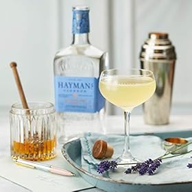 Hayman’s London Dry Gin | Multi Gold Award Winning Gin | Hand Crafted Over Two Days The Here are some examples on how to use Buy 41.2% ABVABV: 41.2% Maximum Flavour | 41.2% ABV