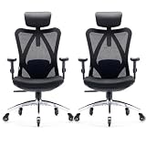 SIHOO M18 Ergonomic Office Chair, Adjustable Lumbar Support, 2 Packs, Black