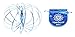 Vortiflux Flow Ring Kinetic Spring Toy - ELECTRIC BLUE