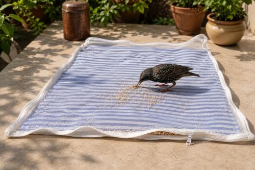 Image of Kuvru Cotton Drying Cloth with Net,Blue Stripe, 73 x 91 cm, Breathable, Washable, Reusable, for Papad, Vadagam, Spices, Millets,Sun dry Wadiyan or Badiyan and Sun Dry Mango for Pickle (BluStripe P1)