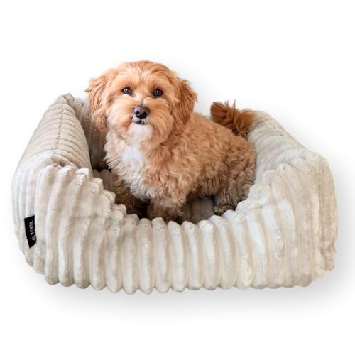 4L Textil Bella Plüsch-Hundebett Premium-LINE Kuscheliges Hundekörbchen aus Cord Katzenkorb Hundekorb für Welpen Hundebett flauschig Hundesofa kleine Hunde (Beige, 60x40 cm)