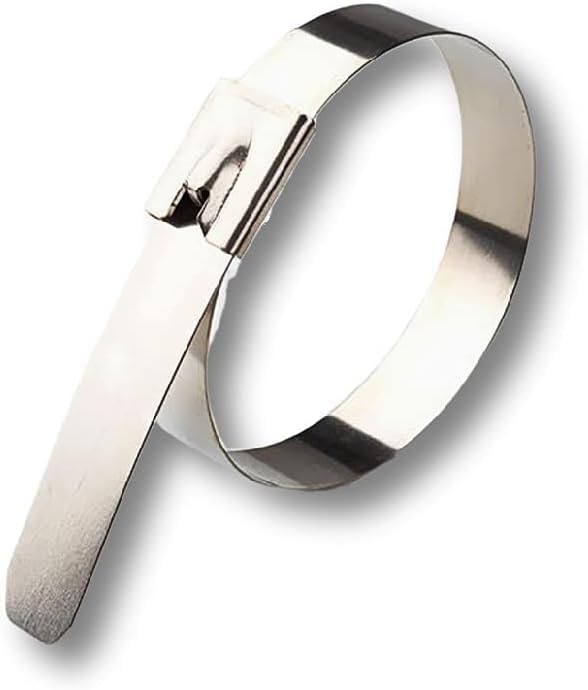 Fascette for cavi, fascette for cavi con bloccaggio in metallo Fascette for cavi in ​​acciaio inossidabile da 4,6 mm con chiusura a zip in metallo 100 pezzi (colore : 4.6mmx450mm) (Colore : 4.6mmx250m