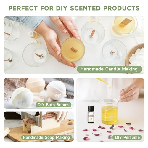 PHATOIL Coconut 20 Pcs Fragrance Oil Set, Premium Fragrance Oil, for Humidifier, DIY Candle & Soap Making Scent, Aromatherapy Diffuser Oils Set (5ML)