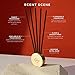 Glasshouse Fragrances A Tahaa Affair Replacement Scent Stems, Perfume Scented Liquidless Diffuser Refills, Essential Home Fragrance & Decor, Vanilla Caramel, 5 Stems