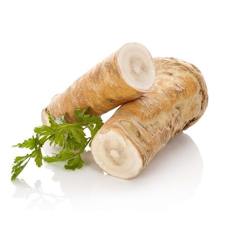 50pcs Fresh Horseradish Vegetable Seeds