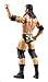 Mattel WWE Action Figure in 6-inch Scale with Articulation & Ring Gear