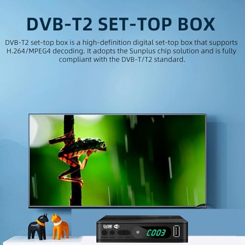 Décodeur TV Numérique HEVC DVBT2 pour résoudre les problèmes d'écran noir
