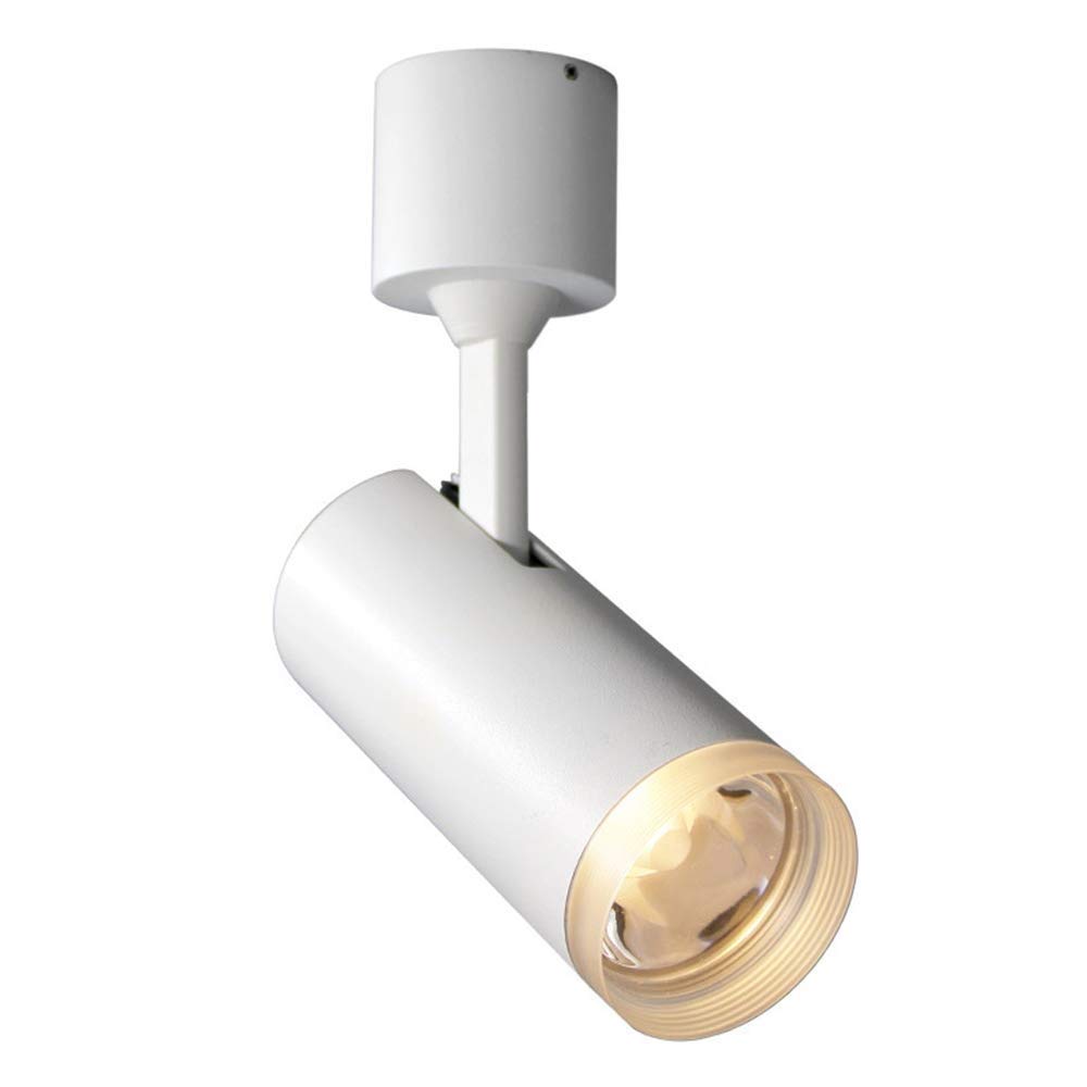 BHGFYXBS Recessed Cob 9W Warm Light 3000K Spotlight Led Wall Mount Spotlight Nordic Simple Background Wall Track Light Photograph Aisle 玄灯Ceiling Light Neutral Light 4500K Ted,White-Warm light 3000k
