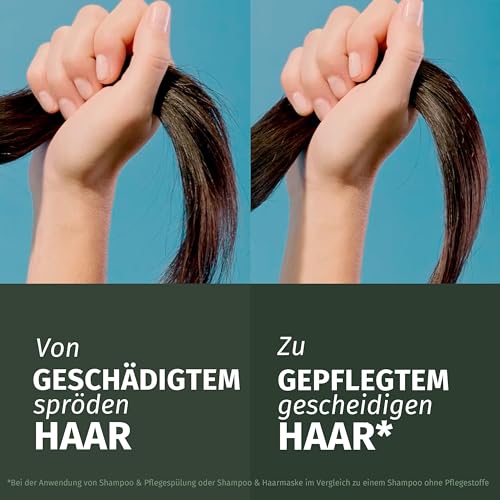 Herbal Essences Repair Shampoo mit Arganöl 350ml