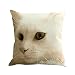 Produktbild Rosennie Katze Platz Dekorative Kissenbezug Baumwoll Leinen Pillowcase Auto Sofa Schlafzimmer Kissenbezüge 45 x 45cm Bett Kissen Cover Sofa 3D Bettwäsche Zierkissenbezüge Kopfkissen(A)
