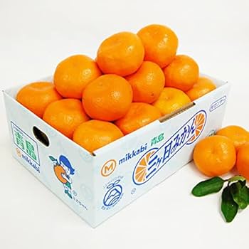 Amazon.co.jp: 糖度11度 JAみっかび 三ケ日青島みかん【優品