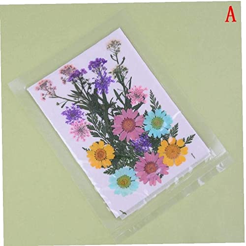 PULABOVárias flores secas prensadas para artesanato scrapbook resina joias artesanato faz capa de te