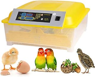 Kemanner Automatic 48 Digital Clear Egg Incubator Hatcher Egg Turning Temperature Control 80W