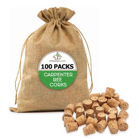 Carpenter Bee Corks - Easy Fit Repair Holes Porches from Carpenter Bee Damage, 1 Pack 100 pcs