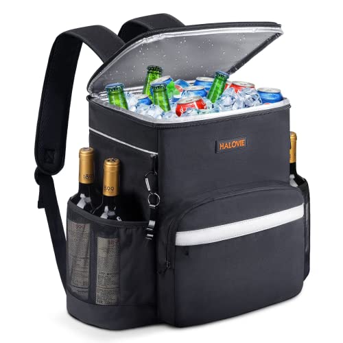 Best Everlasting Comfort Insulated Cooler Backpack