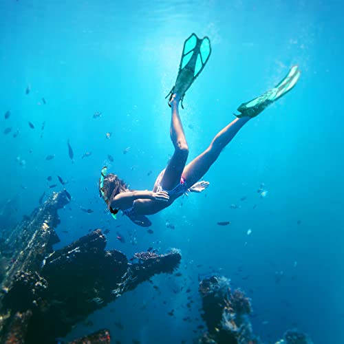 Zeeporte Mask Fin Snorkel Set, Travel Size Snorkeling Gear For Adults With Panoramic View Anti-Fog Mask, Trek Fins, Dry Top Snorkel And Gear Bag For Swimming Training, Snorkeling Kit Diving Packages #TOP1