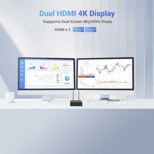 Z100 Fanless PC, Intel N100, 16GB DDR4, 512GB PCIe 3.0 x 4 SSD Windows 11 Pro Desktop Computer, 4K Dual Display/2.5G LAN/USB3.2/USB-C/WiFi 6/BT5.2/Vesa Mount/Auto Power on (16GB+512GB) - PC Desktop - Immagine 5