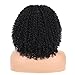 HANNE Short Curly Lace Front Wigs Middle Part Swiss Lace Coily Frontal Lace Synthetic Hair Wigs for Black Women Heat Resistant Short Hair Full Wig (1#)