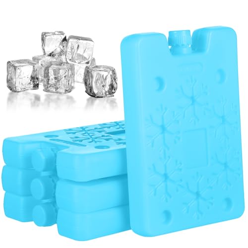 Blocs de glace pour glacière pour préserver vos repas au frais lot de 4 briques vert clair