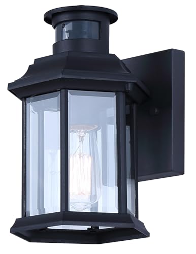 Harbor 1-Light Outdoor Wall Light 10-Inch Black with Clear Glass, Built-in Motion Sensor/Photocell, Classic Durable Outdoor Lantern for Entryways, Patios, Porches