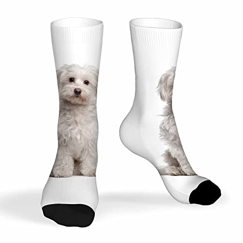 Image of Pehede Socks Mens Fun Dress Socks for Women Funny Novelty Crazy Design Socks