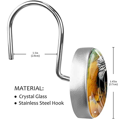 Crochets de rideau de douche inox perroquet robustes et chic - 4