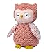 Lambs & Ivy Little Garden Textured Floral Plush Owl Stuffed Animal Toy - Twiggy