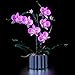 VONADO LED Light Set for 10311 Orchid Set, Pink Lighting Compatible with Orchid Set (No Model), Creative DIY Decor Orchid Flower Light Kit (ONLY Lights)