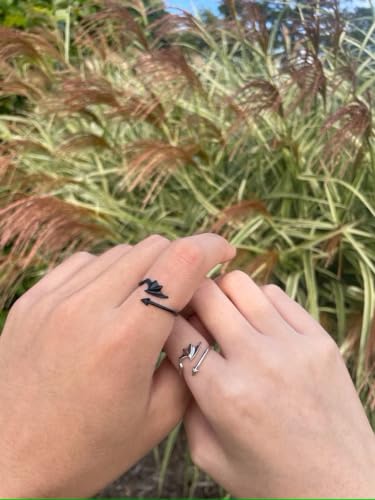 Matching Rings for Couples Best Friends - Adjustable Rings Promise Rings for Him Her, Wings Shaped Hugging Protection Jewelry - Gift Wrap4