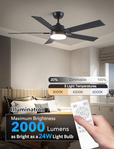 Image of Rayqueen 52 Inch Black Ceiling Fans with Lights and Remote,Includes Downrod