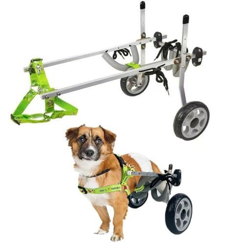 ZHHSUNY Silla de ruedas ajustable de 2 ruedas para gatos y perros, para discapacidad, parálisis, lesiones, debilidad de las extremidades traseras (XXXS)