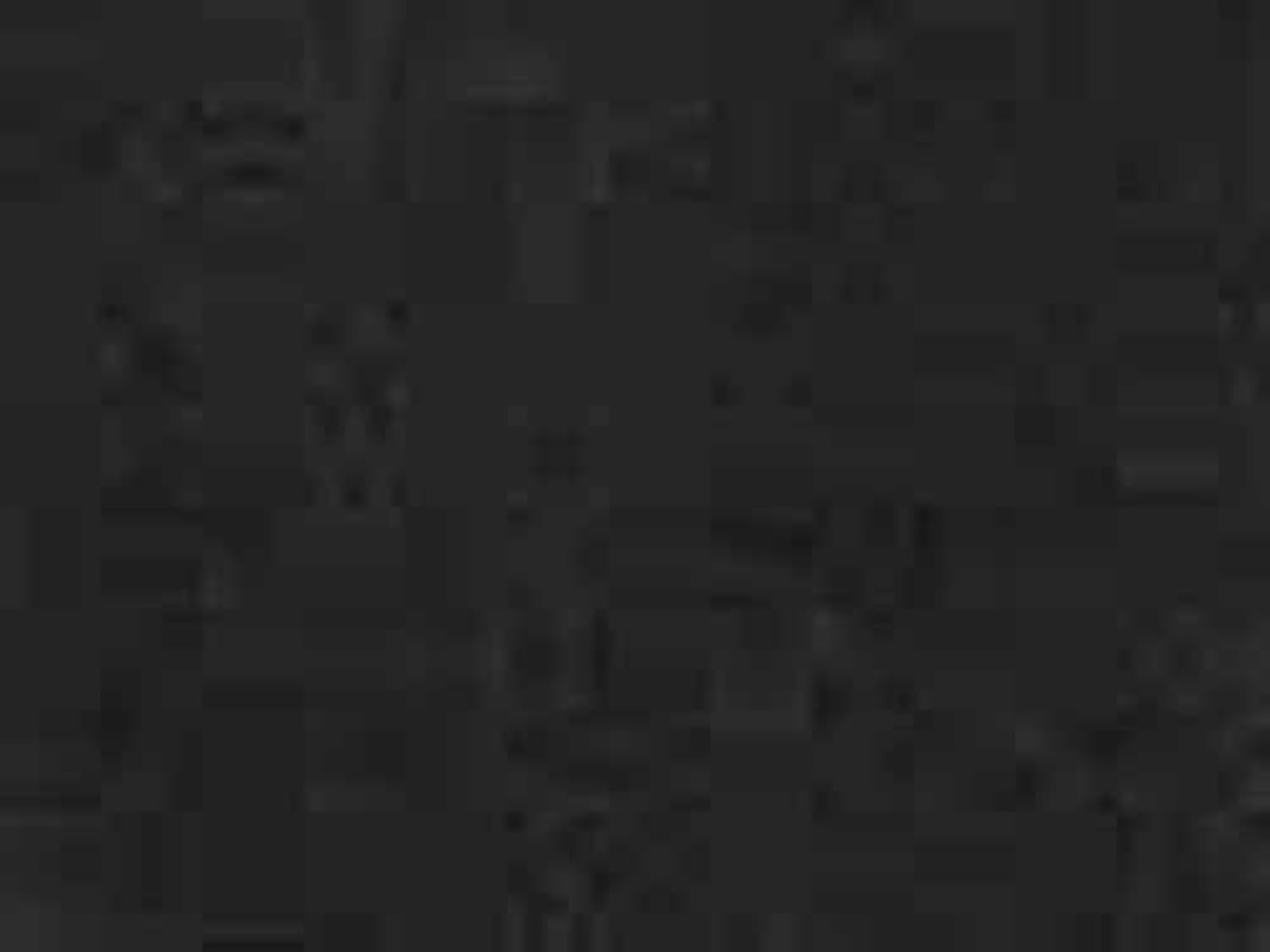 60" Wide Black Cambric Broadcloth Upholstery Dust Cover Furniture Liner Poly Cotton Blend Fabric by The Yard (7942H-12L)