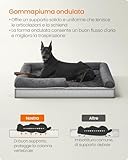 Feandrea B0BJK9YF5N lato 3