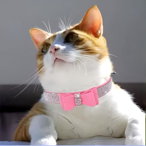 Collier chien rose avec nœud idée cadeau pour chienne de taille moyenne accessoire fête M