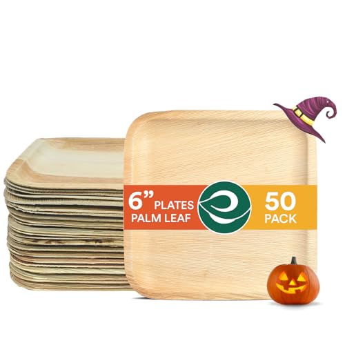 ECO SOUL 6 Inch Disposable Bamboo Plates (50 Pack, Square)