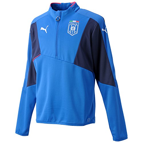 Puma FIGC Italia Men's Stadium Top blue Team Power Blue/Peacoat Size:Medium