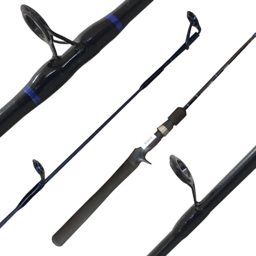 Vara Carretilha Ação Media Evolution 10-20lb 1,68m Interiça Fibra de Carbono