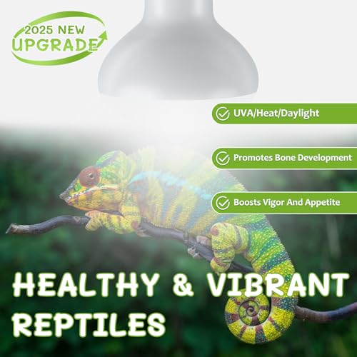Image of Reptile Heat Lamp Bulbs, Simulate Natural Sunlight Heat Light Bulb, 4 Pack 100W Amphibian Terrarium Basking Spot Lamp for Reptile, Bearded Dragon, Lizard, Turtle, Snake