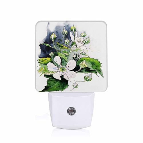 Image of LED Night Light,Flower BlackBerry Watercolor Painted Blossom LED Night Light Plug into Wall with Dusk to Dawn Light Sensor White Energy Efficient Nightlight for Bedroom Hallway Kitchen