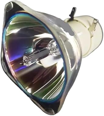 Projector lamp for NP35LP NP-V332W, NP-V332X, NP-V302H, CD1010X, NP-V302XC, RICOH WX2440OB with housing