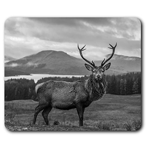 Tapis de souris rectangulaire BW – Cerf écossais Highlands 23,5 x 19,6 cm (9,3 x 7,7 pouces) pour ordinateur et ordinateur portable, bureau, cadeau, base antidérapante #36299
