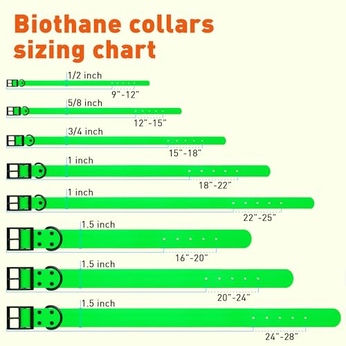 Image of Dogline Biothane Waterproof Dog Collar Strong Coated Nylon Webbing with Black Hardware Odor- Proof for Easy Care Easy to Clean High Performance Fits Small Medium or Large Dogs, Tropical Green