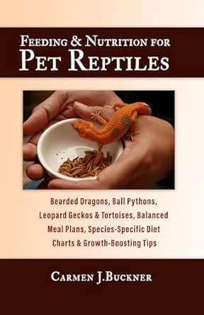 A closer look at Bearded Dragon Vs Ball Python Feeding Chart