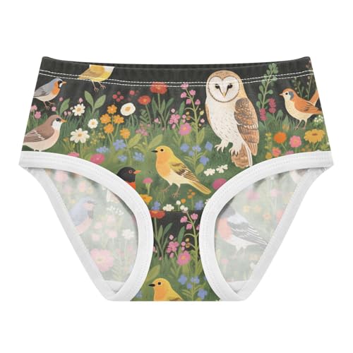 Brief Panties Panties Training Briefs Underwear for Toddlers in Sizes 2T,3T, 4T, 5T, 6Y and 8Y
